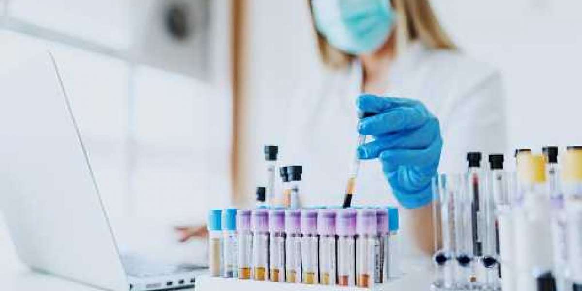 Global Motion Sickness Drugs Market Share, Size,  Report and Forecast Period Of 2021-2026