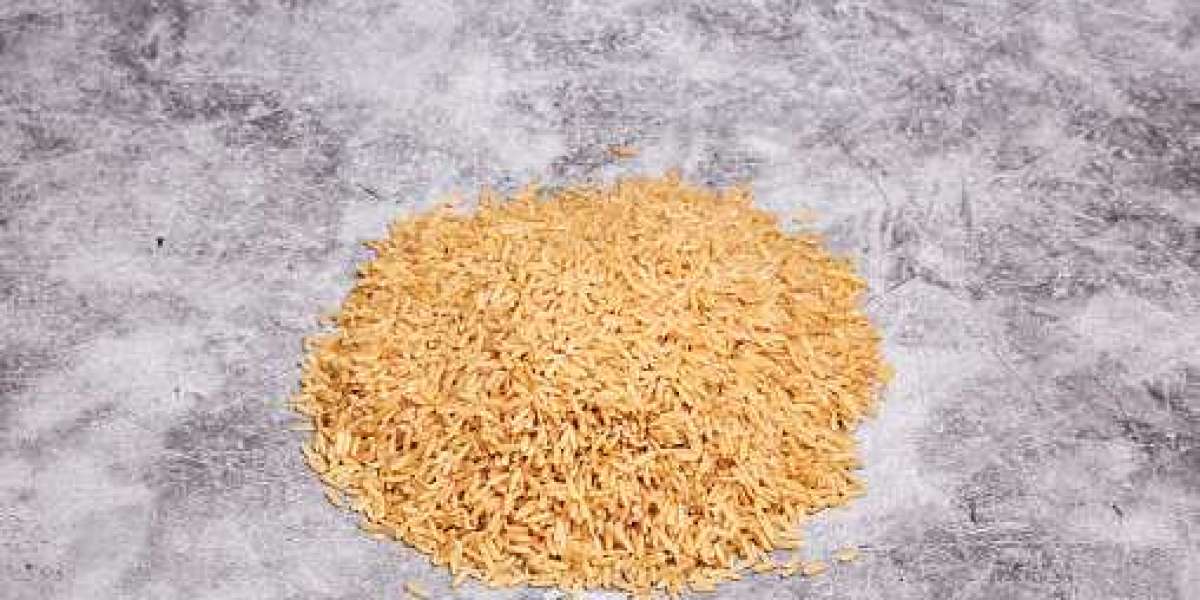 Biological Seed Treatment Market Share, Size, Forecast, Regional Growth with Top Companies