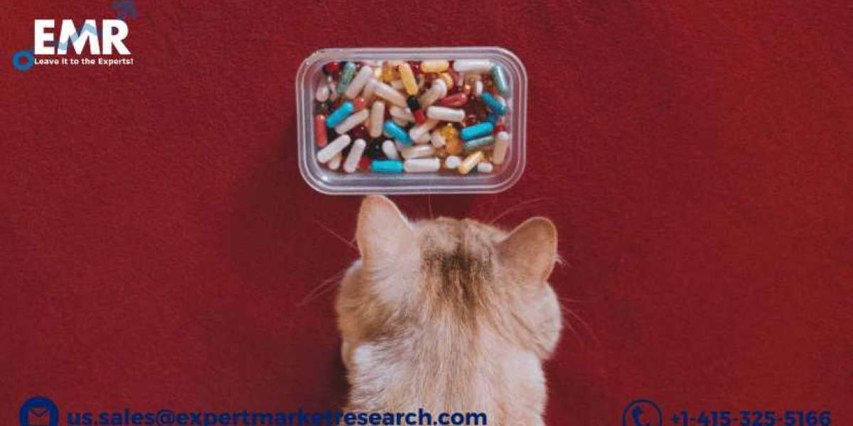 Global Pet Supplement Market To Be Driven By The Increasing Pet Adoption In The Forecast Period Of 2021-2026