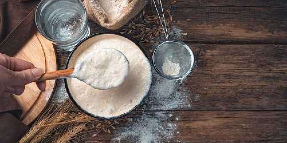 Fermentation Ingredients Market Restraint, Regional Application, Competitor| Forecast