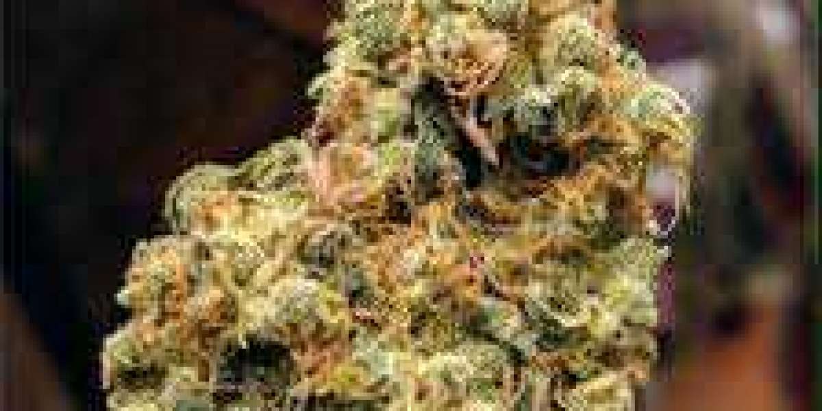 Some Best Marijuana Strains