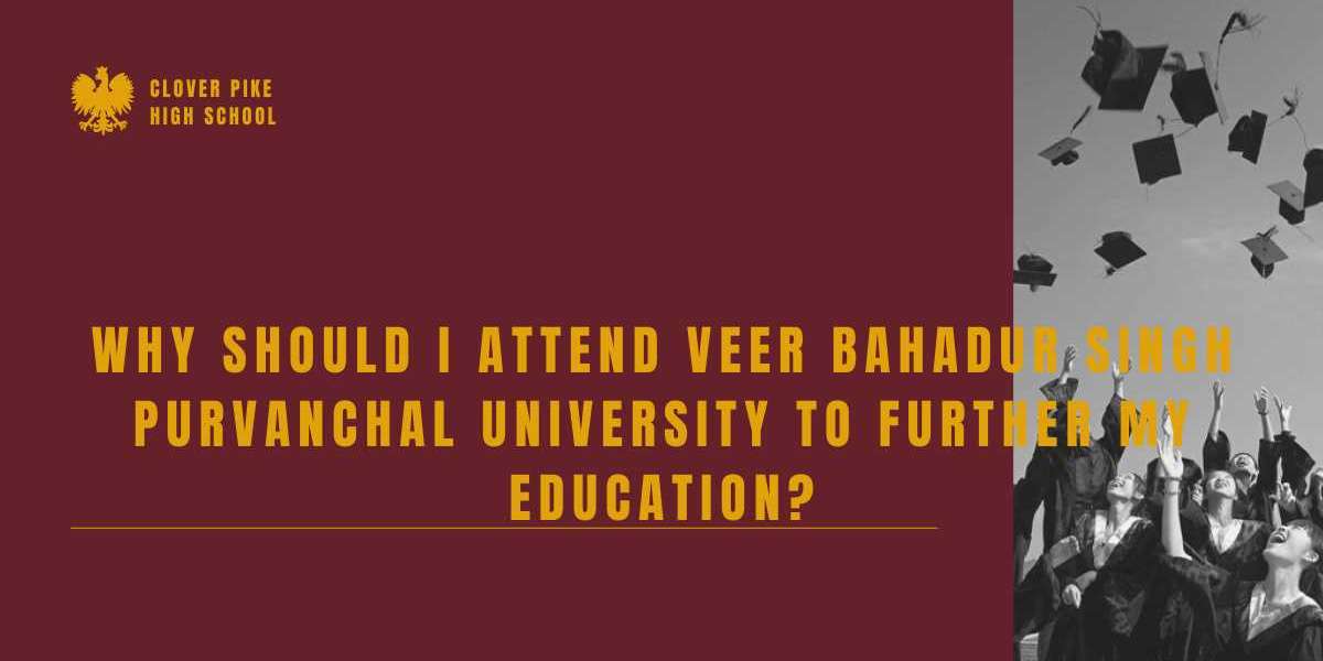 What makes Veer Bahadur Singh Purvanchal University a good choice for me?