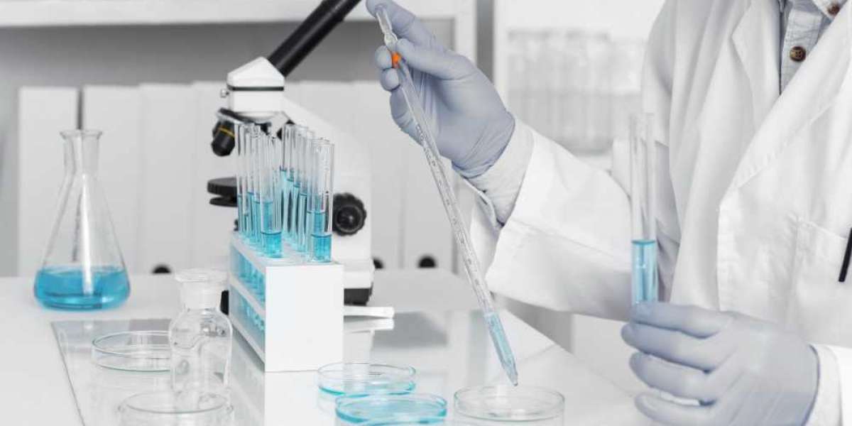 Global Ovulation Test Market Size, Overview, Key Players and Forecast 2028