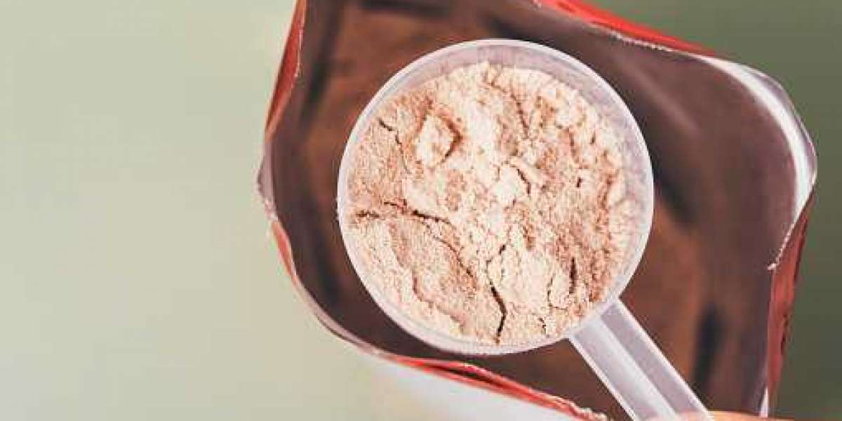 Whey Protein Ingredients Market Trends, Analysis Report, Growth and Research Report
