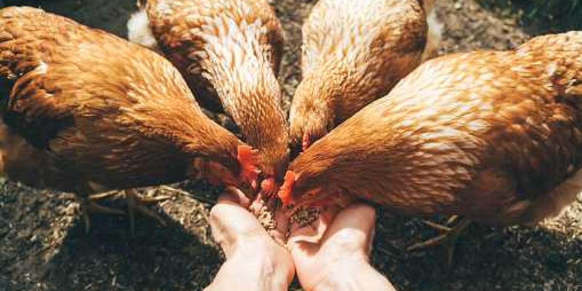 Feed Pigments Industry Worldwide Prospects, Crucial Players & Forecast Period
