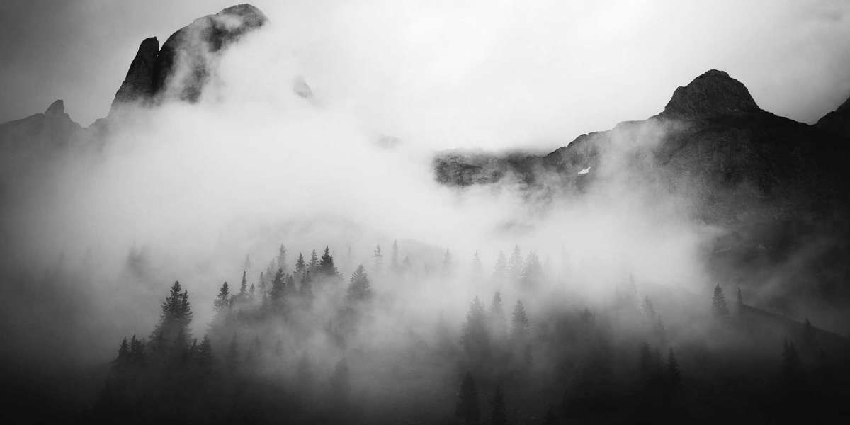 Why your company needs a website?