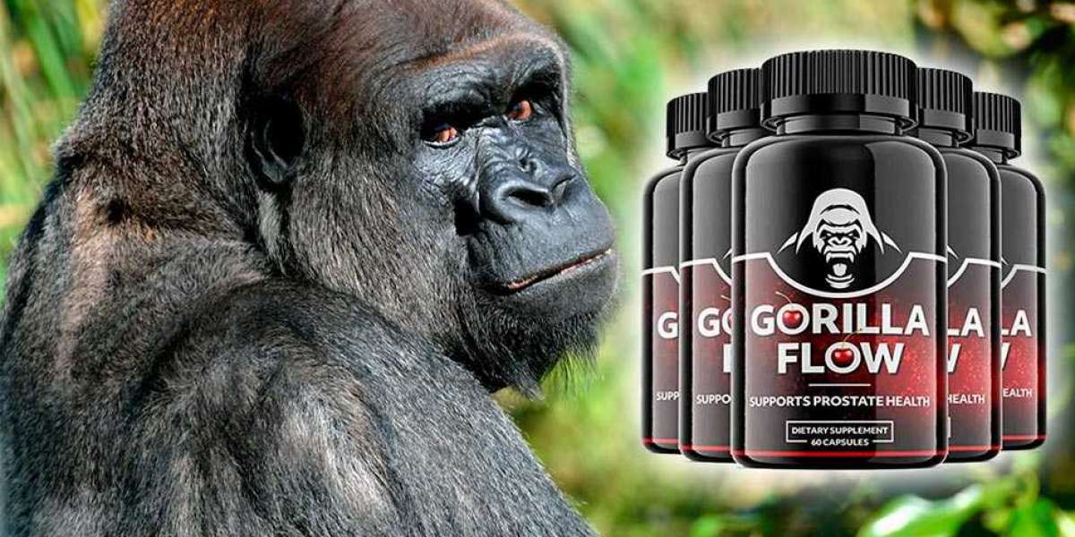 The Philosophy Of GORILLA FLOW