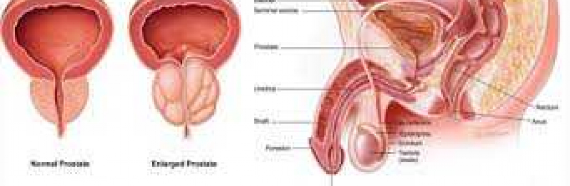 Gorilla Flow Cover Image