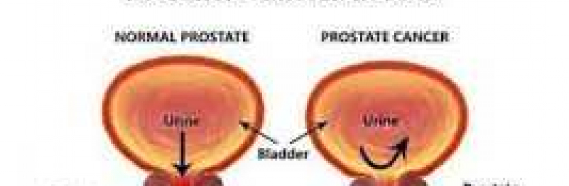 Gorilla Flow Cover Image