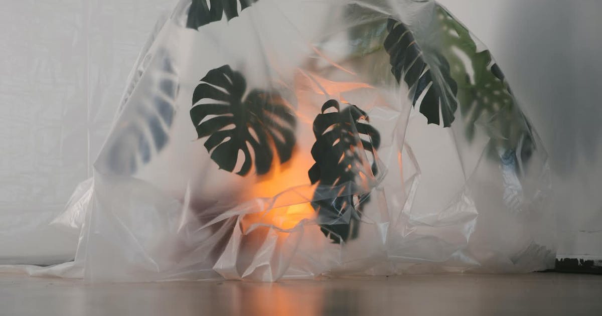 barrier film for food packaging