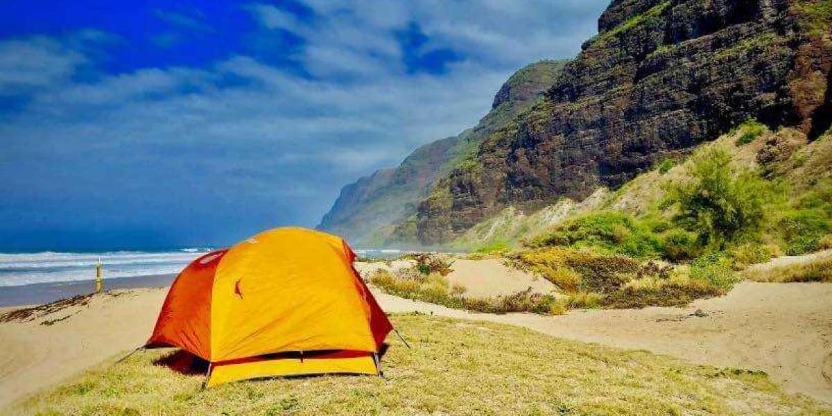 5 Great Camping Spots in The USA