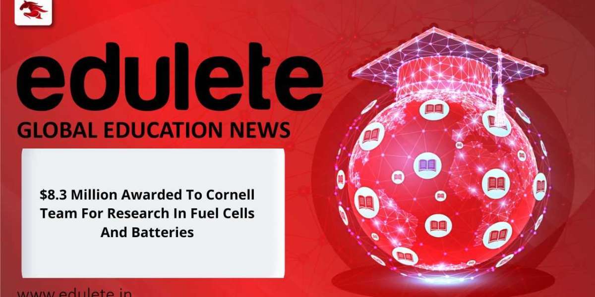 $8.3 Million Awarded To Cornell Team For Research In Fuel Cells And Batteries