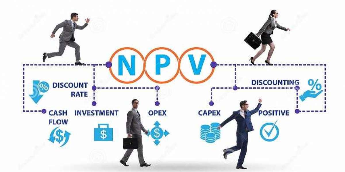 Net Present Value Assignment help