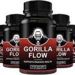Gorilla Flow Profile Picture