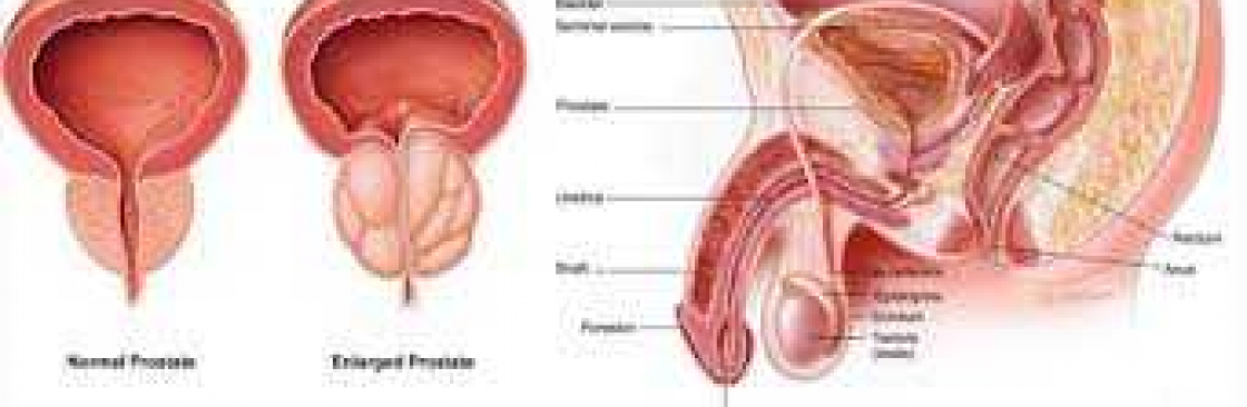 Gorilla Flow Cover Image