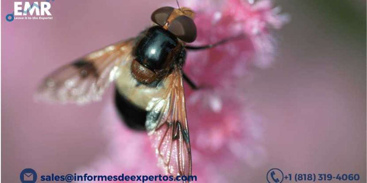 Global Insect Growth Regulators Market Report and Forecast Period Of 2021-2026