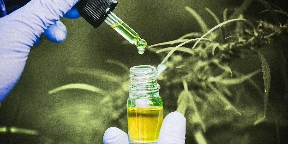 Best Possible Details Shared About Is Delta-8 THC Synthetic