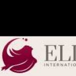 Elitemuse Model Companions Profile Picture