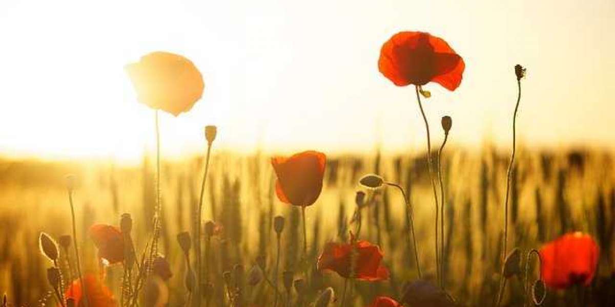 Benefits of Online Flowers Delivery