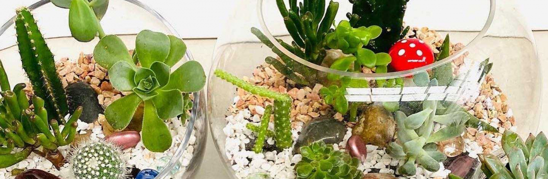 The little market plants Cover Image