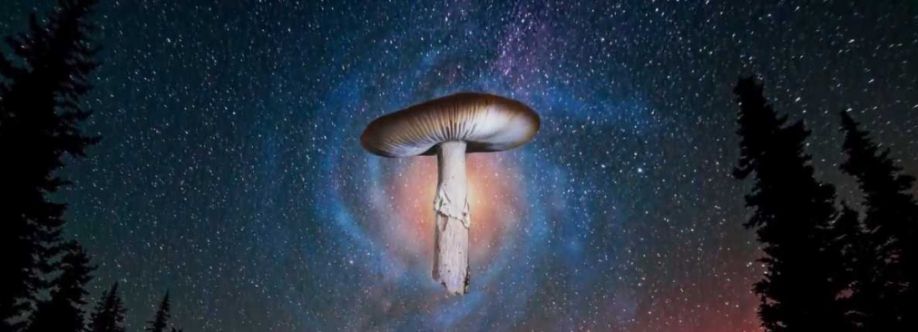 Magic Mushrooms Canada Cover Image