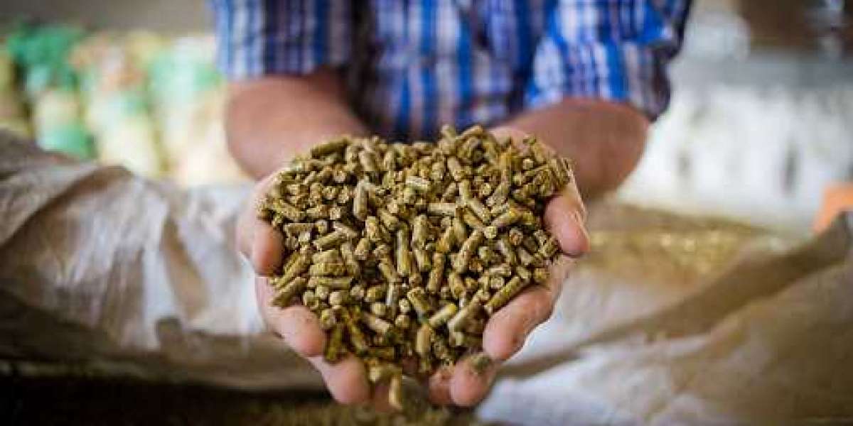 Cattle Feed Market Size, In-Depth Assessment and Opportunity Analysis with Top Countries Data