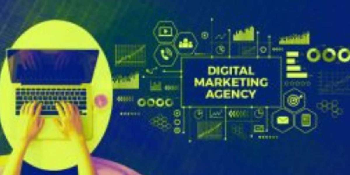 Why Do You Need an SEO Company In India?