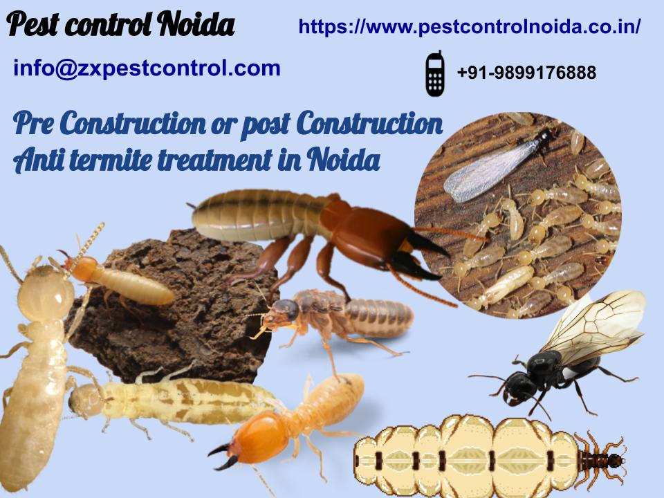 Pre Construction and post Construction Anti termite treatment in Noida - Classified Ads Shop