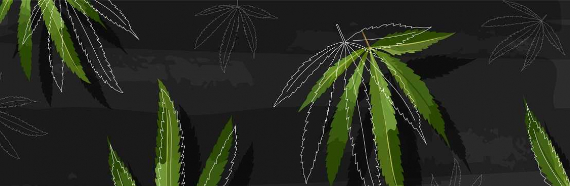 Graff LLC Cover Image