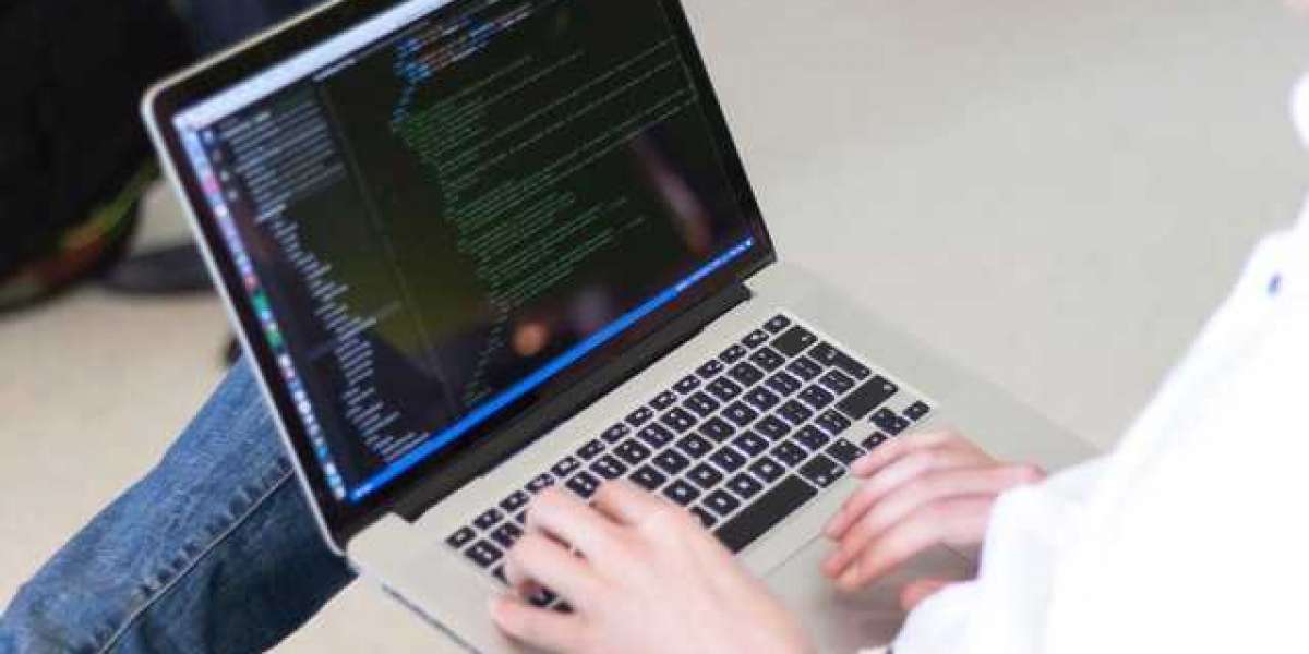 What is the Importance of Web Designing?