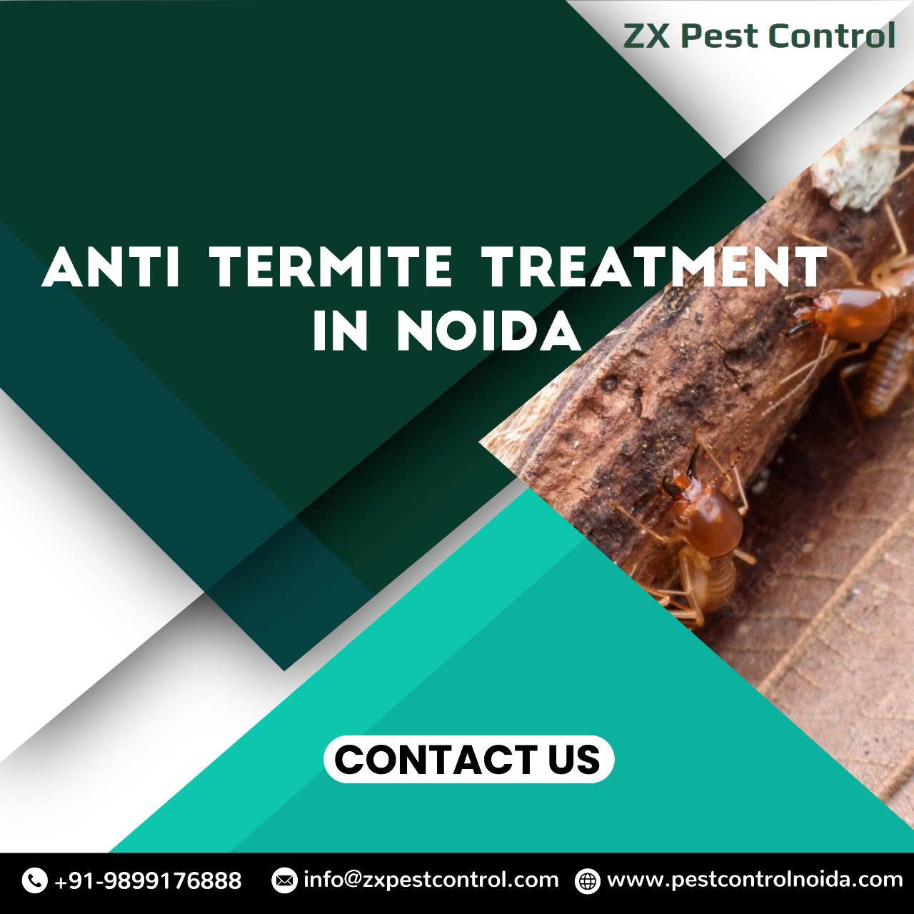Anti Termite Treatment at Home to Control Termites