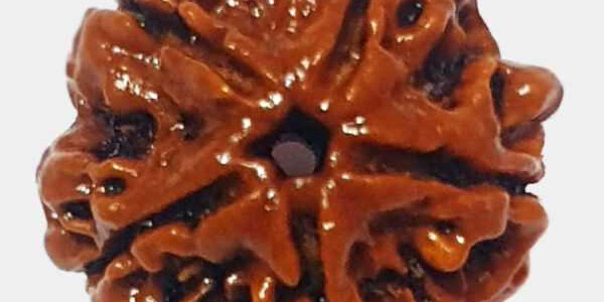 5 Mukhi Rudraksha - Precautions and Powers