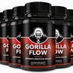 Gorilla Flow Profile Picture