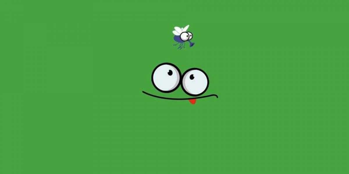 About FeaturesAbout FeaturesAbout Features