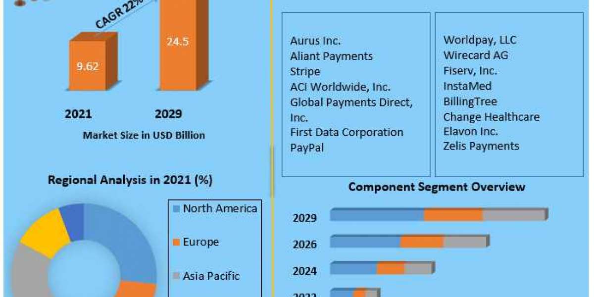 Digital Payment in Healthcare Market Analysis by Size, Share, Opportunities, Revenue, Future Scope and Forecast 2029