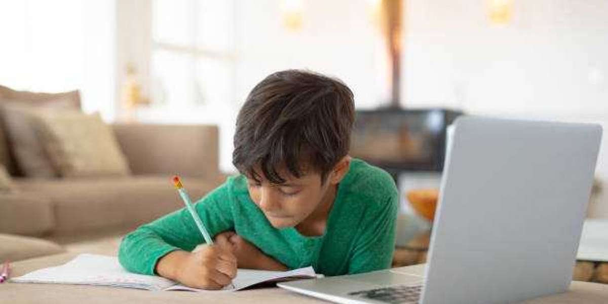 How can I get Python Assignment Help?