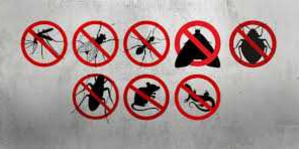 Getting rid of household insects