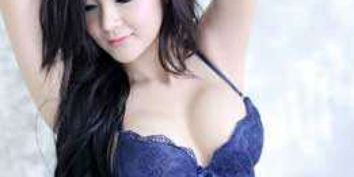 Lucknow Escorts Service With Affordable Price