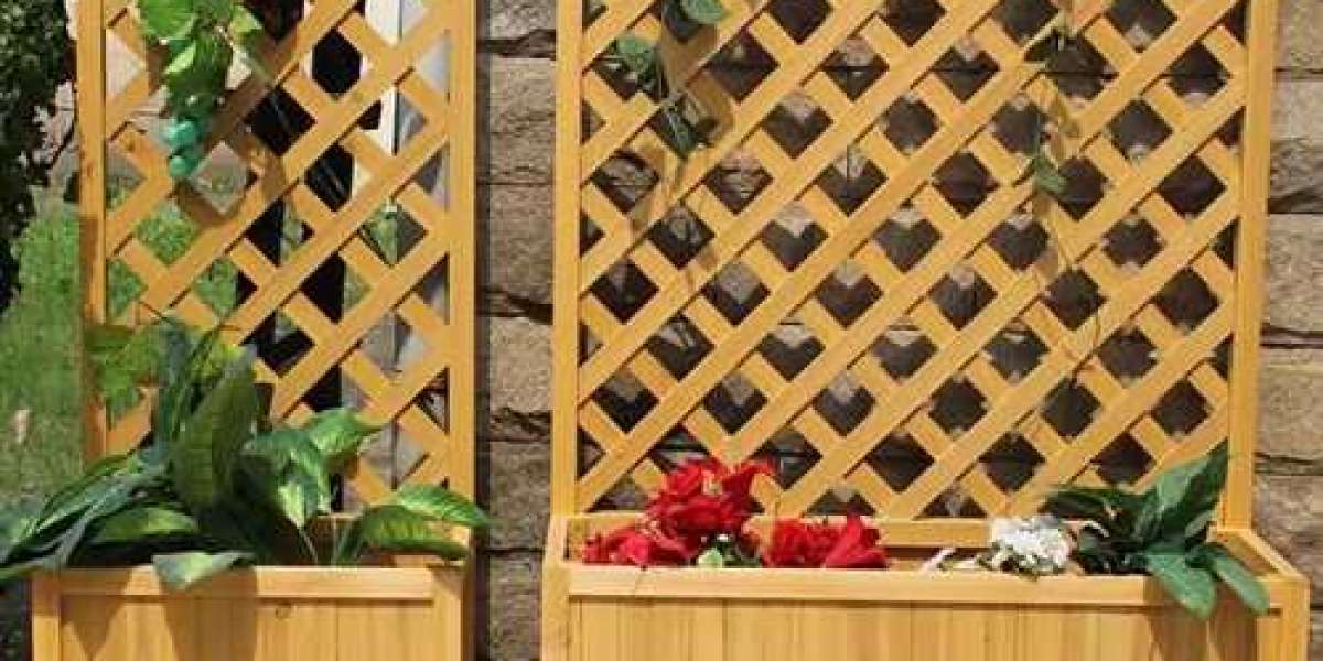 Introduce the advantages of climbing pots and how to choose