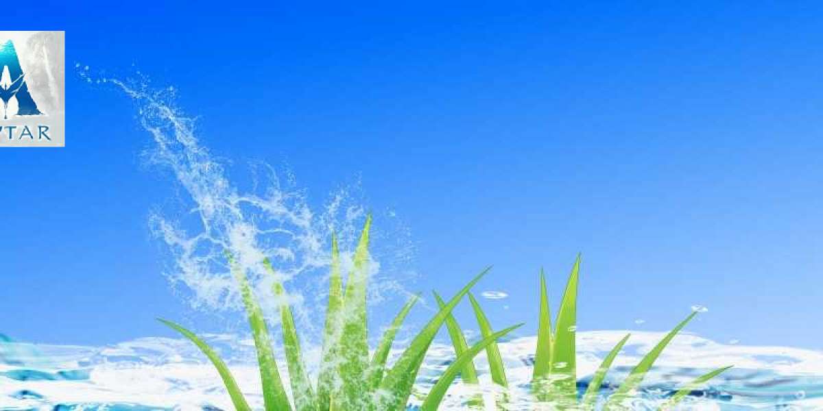 Details of 5G Dangers