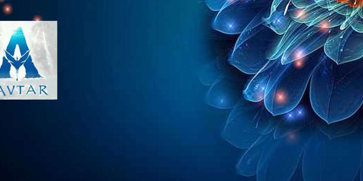 Information  Around Ozone Therapy