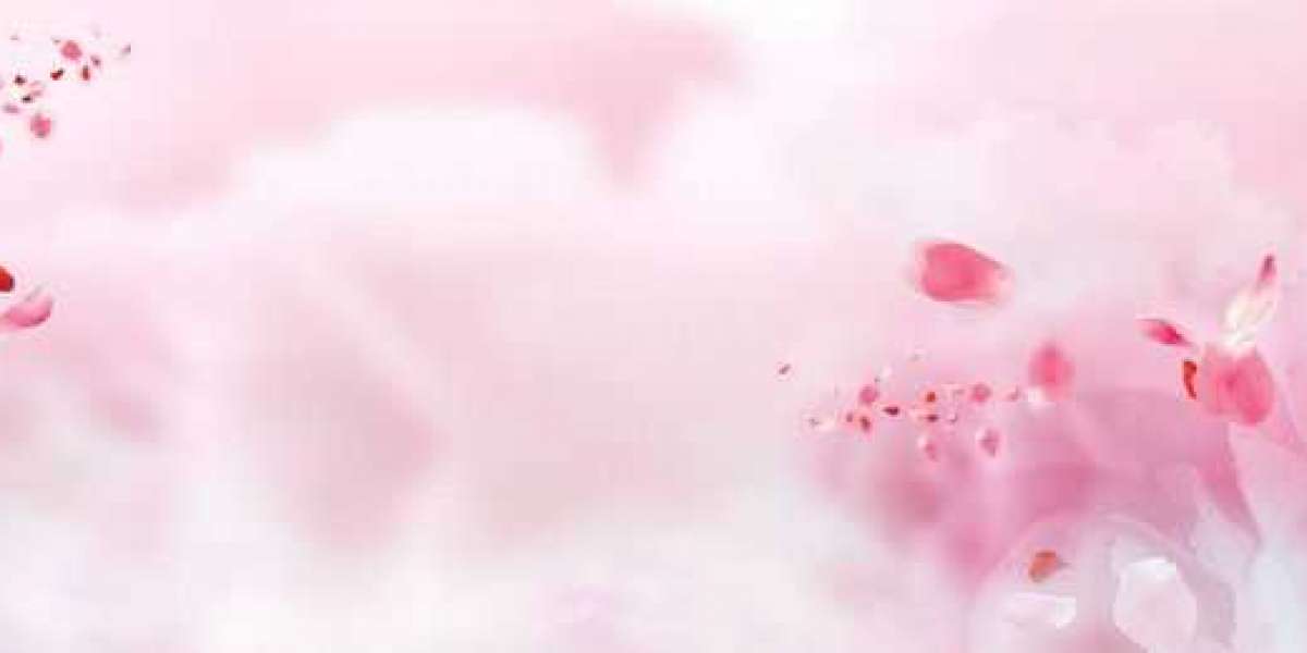 Dvd Rental Databases Glance at It Prior to You Go