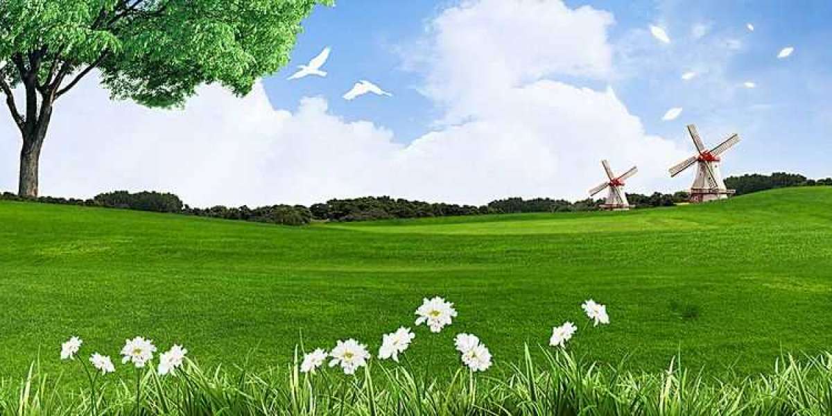 A new Robotically Carried Genetic make-up Mycovirus Is Targeted from the Defence Machines of the company's Host, Bo