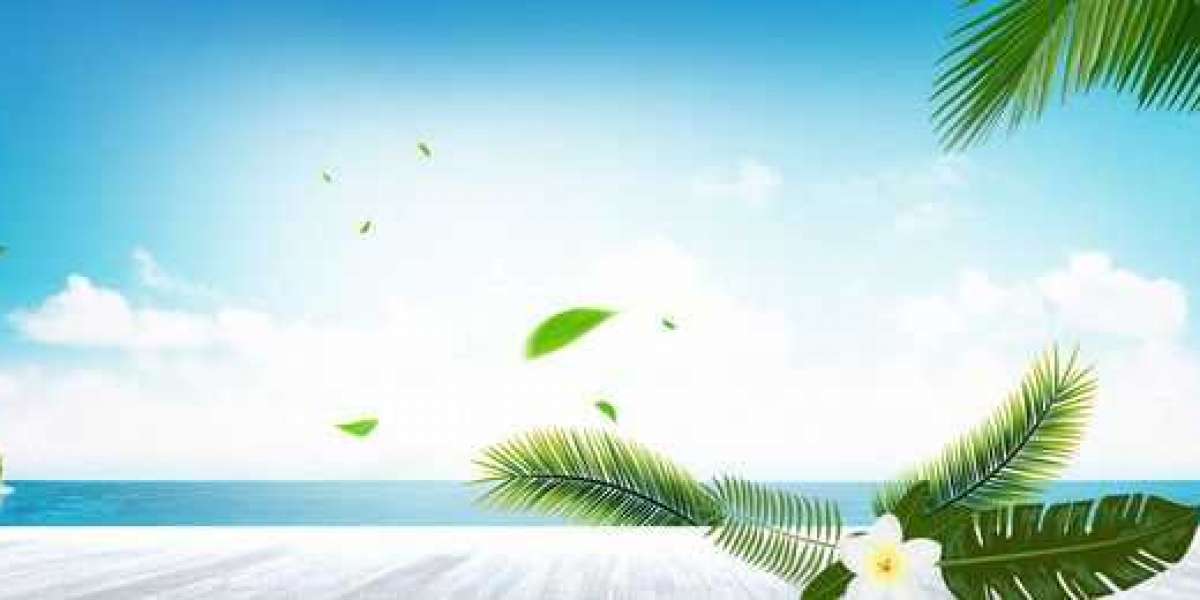 Irrespective of what you could have heard of starting a company on the web, anyone can compete in every industry if they