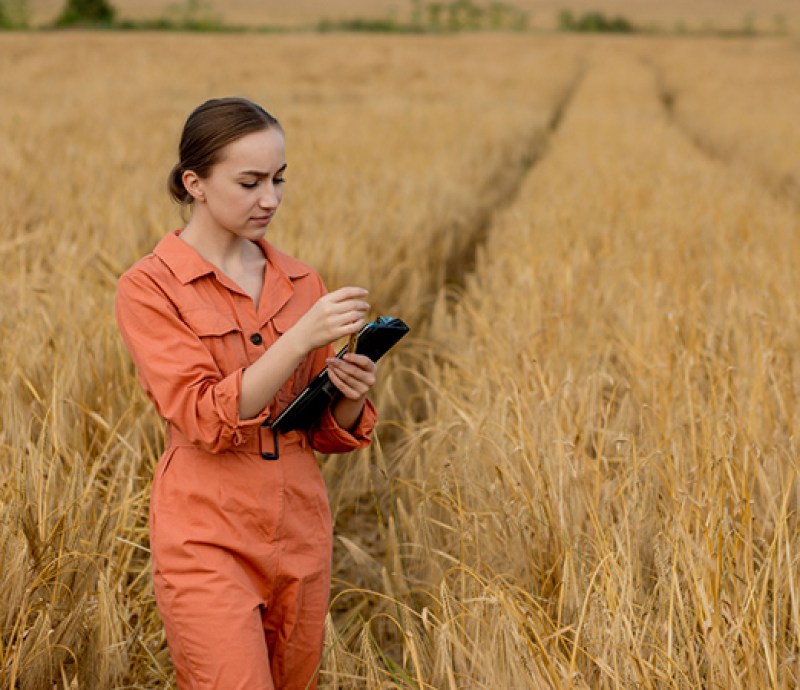 Best Acceptance Testing Software For Accurate Results