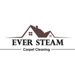 eversteam Profile Picture