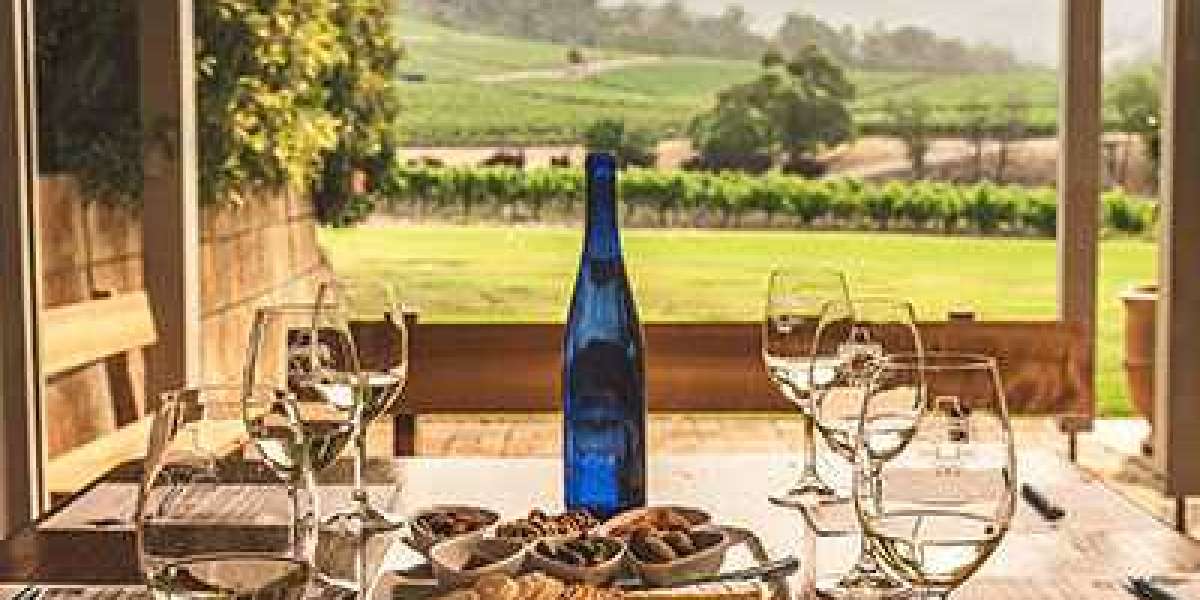 Hunter Valley wine experience