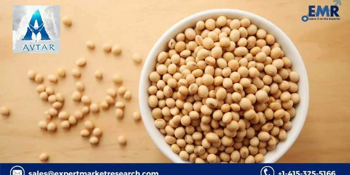Soybean Market Price, Size, Share, Trends, Growth, Analysis, Report, Forecast 2022-2027
