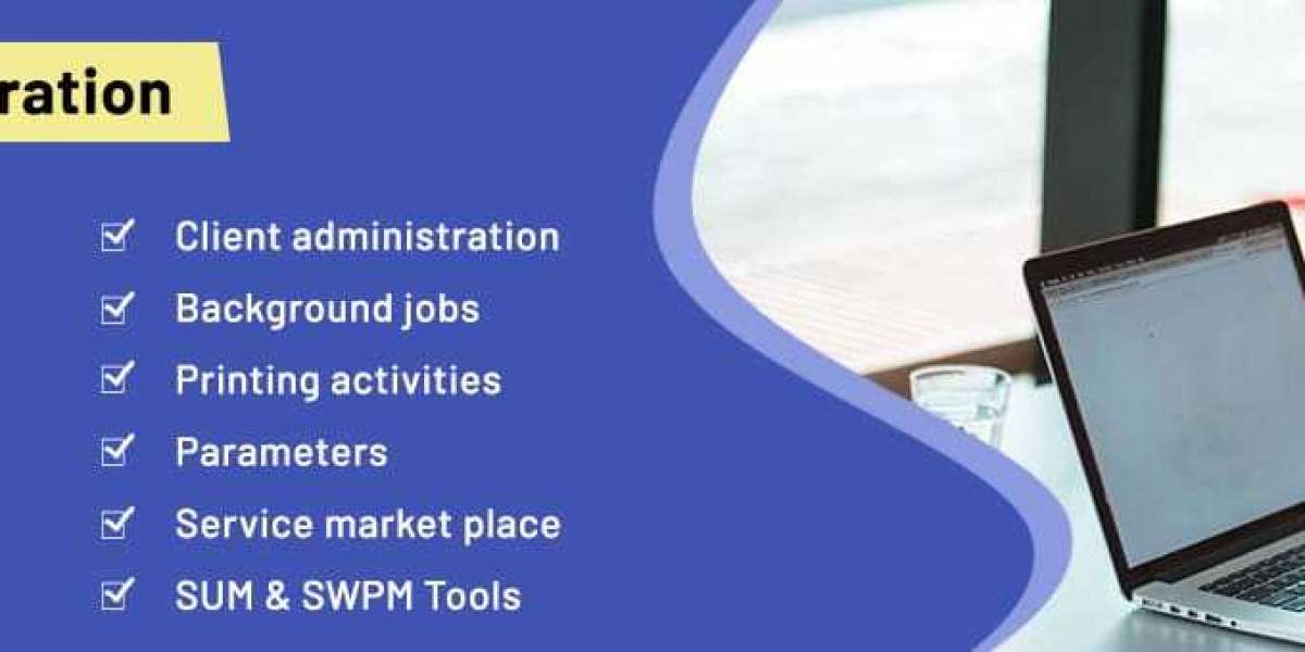 sap basis administrator training