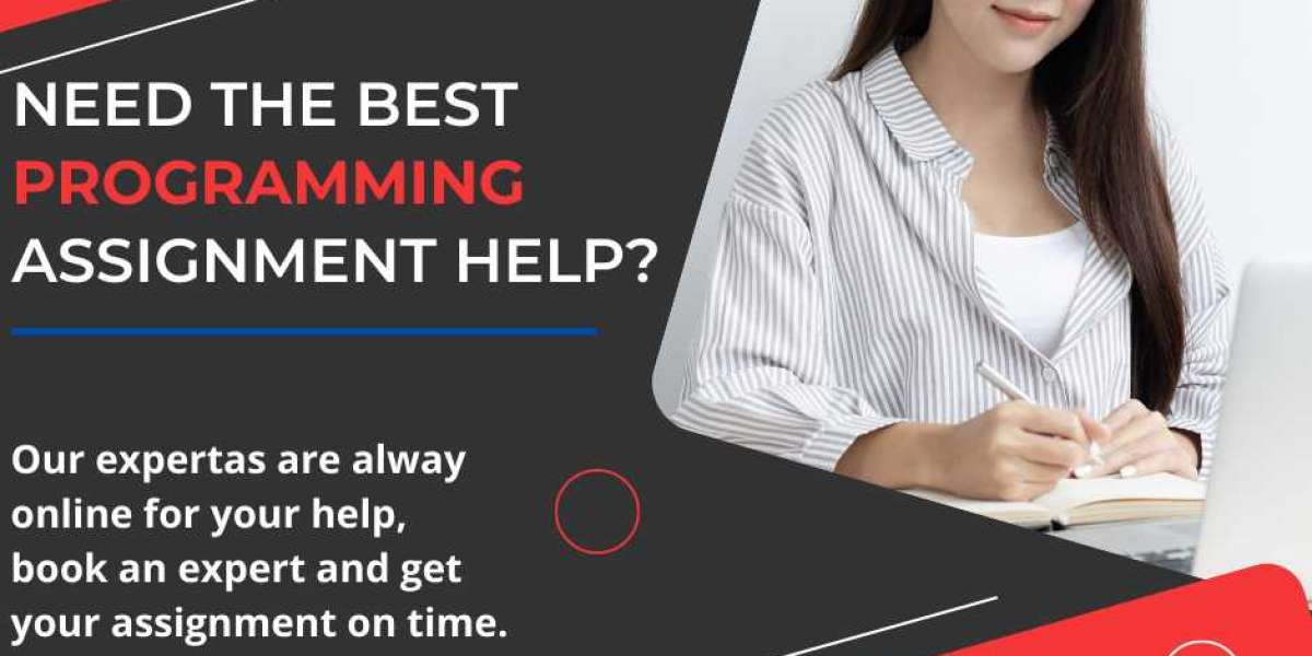 The Best Programming Assignment Help Website